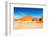 Namib Desert-DmitryP-Framed Photographic Print