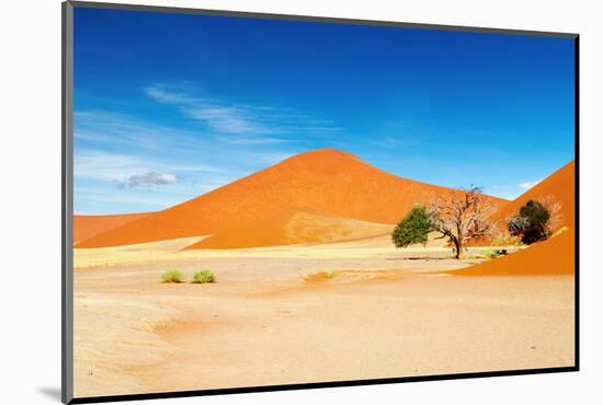 Namib Desert-DmitryP-Mounted Photographic Print