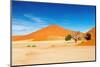 Namib Desert-DmitryP-Mounted Photographic Print