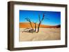 Namib Desert-DmitryP-Framed Photographic Print