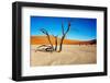 Namib Desert-DmitryP-Framed Photographic Print