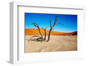 Namib Desert-DmitryP-Framed Photographic Print