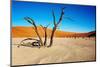 Namib Desert-DmitryP-Mounted Photographic Print