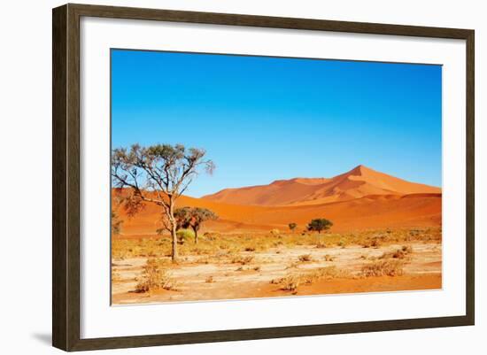 Namib Desert-DmitryP-Framed Photographic Print