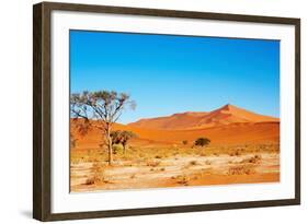 Namib Desert-DmitryP-Framed Photographic Print