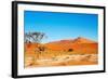 Namib Desert-DmitryP-Framed Photographic Print