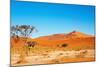 Namib Desert-DmitryP-Mounted Photographic Print