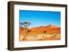 Namib Desert-DmitryP-Framed Photographic Print