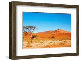 Namib Desert-DmitryP-Framed Photographic Print