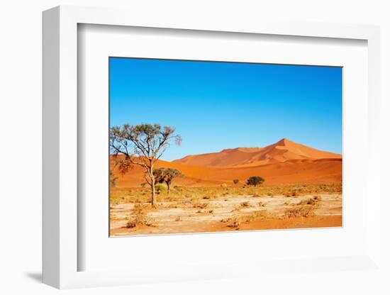 Namib Desert-DmitryP-Framed Photographic Print