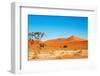 Namib Desert-DmitryP-Framed Photographic Print