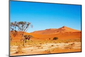 Namib Desert-DmitryP-Mounted Photographic Print