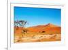 Namib Desert-DmitryP-Framed Photographic Print