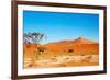Namib Desert-DmitryP-Framed Photographic Print