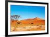 Namib Desert-DmitryP-Framed Photographic Print
