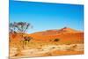 Namib Desert-DmitryP-Mounted Photographic Print