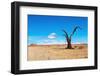 Namib Desert-DmitryP-Framed Photographic Print