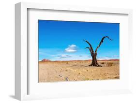 Namib Desert-DmitryP-Framed Photographic Print