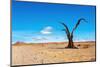 Namib Desert-DmitryP-Mounted Photographic Print