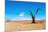 Namib Desert-DmitryP-Mounted Photographic Print