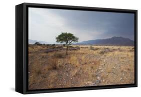 Namib-Naukluft National Park at Sunrise-Alex Saberi-Framed Stretched Canvas