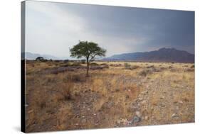 Namib-Naukluft National Park at Sunrise-Alex Saberi-Stretched Canvas