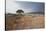 Namib-Naukluft National Park at Sunrise-Alex Saberi-Stretched Canvas