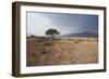 Namib-Naukluft National Park at Sunrise-Alex Saberi-Framed Photographic Print