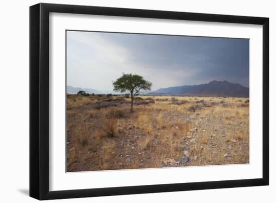 Namib-Naukluft National Park at Sunrise-Alex Saberi-Framed Photographic Print