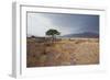 Namib-Naukluft National Park at Sunrise-Alex Saberi-Framed Photographic Print