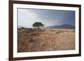 Namib-Naukluft National Park at Sunrise-Alex Saberi-Framed Photographic Print