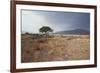 Namib-Naukluft National Park at Sunrise-Alex Saberi-Framed Photographic Print