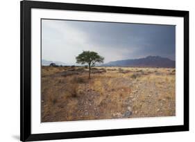 Namib-Naukluft National Park at Sunrise-Alex Saberi-Framed Photographic Print