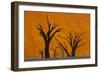 Namib-Naukluft National Park, Namibia-Art Wolfe-Framed Photographic Print