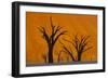 Namib-Naukluft National Park, Namibia-Art Wolfe-Framed Photographic Print