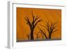 Namib-Naukluft National Park, Namibia-Art Wolfe-Framed Photographic Print