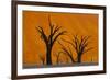 Namib-Naukluft National Park, Namibia-Art Wolfe-Framed Photographic Print