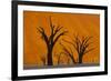 Namib-Naukluft National Park, Namibia-Art Wolfe-Framed Photographic Print