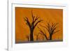 Namib-Naukluft National Park, Namibia-Art Wolfe-Framed Photographic Print