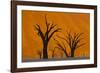 Namib-Naukluft National Park, Namibia-Art Wolfe-Framed Photographic Print