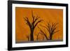 Namib-Naukluft National Park, Namibia-Art Wolfe-Framed Photographic Print