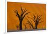 Namib-Naukluft National Park, Namibia-Art Wolfe-Framed Photographic Print