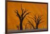 Namib-Naukluft National Park, Namibia-Art Wolfe-Framed Photographic Print