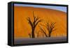 Namib-Naukluft National Park, Namibia-Art Wolfe-Framed Stretched Canvas