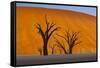 Namib-Naukluft National Park, Namibia-Art Wolfe-Framed Stretched Canvas