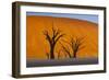 Namib-Naukluft National Park, Namibia-Art Wolfe-Framed Photographic Print