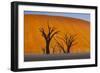 Namib-Naukluft National Park, Namibia-Art Wolfe-Framed Photographic Print