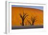 Namib-Naukluft National Park, Namibia-Art Wolfe-Framed Photographic Print