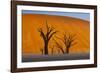 Namib-Naukluft National Park, Namibia-Art Wolfe-Framed Photographic Print