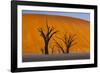 Namib-Naukluft National Park, Namibia-Art Wolfe-Framed Photographic Print